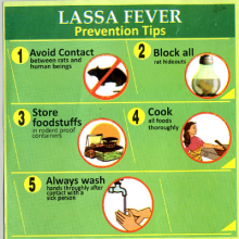 NYSC Lassa Fever Awareness Campaign
